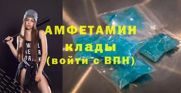 шишки Новозыбков