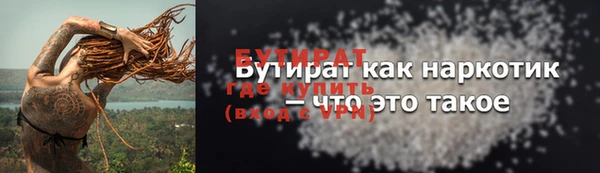 шишки Новозыбков