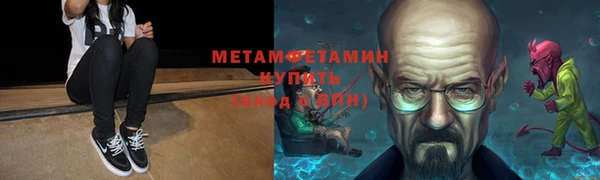 шишки Новозыбков