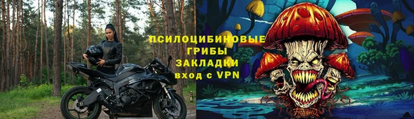 шишки Новозыбков