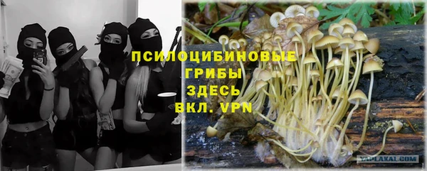 ГАЛЛЮЦИНОГЕННЫЕ ГРИБЫ Новодвинск