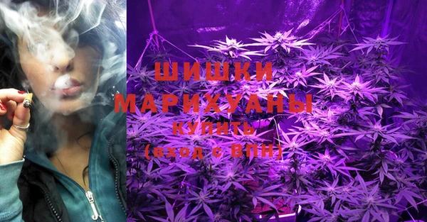 ГАЛЛЮЦИНОГЕННЫЕ ГРИБЫ Новодвинск