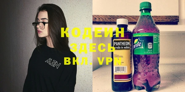 шишки Новозыбков