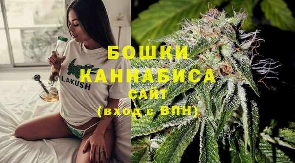 шишки Новозыбков