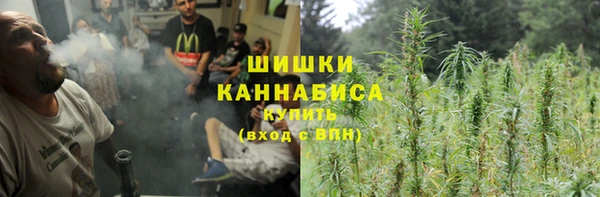шишки Новозыбков