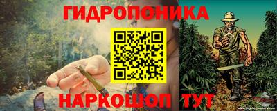 шишки Волжский
