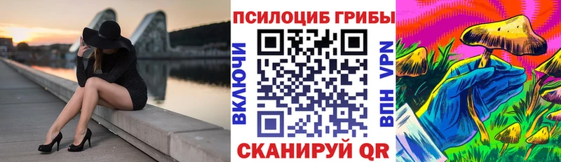 Псилоцибиновые грибы MAGIC MUSHROOMS  Зима 