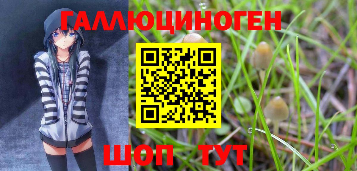 Псилоцибиновые грибы GOLDEN TEACHER  Галлюциногенные грибы мухоморы  Вход с VPN  Зима 