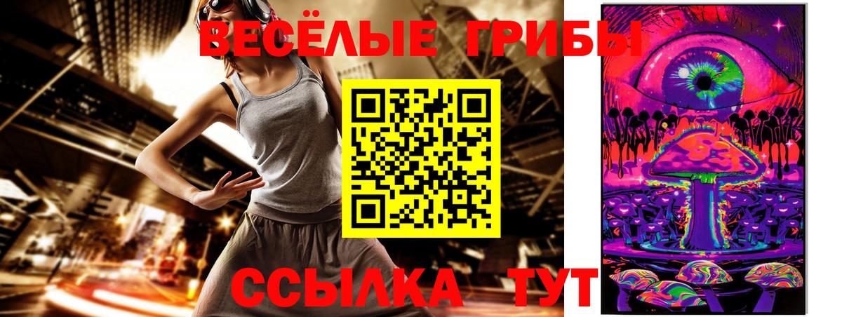 Галлюциногенные грибы мицелий  Галлюциногенные грибы Psilocybe  Зима 